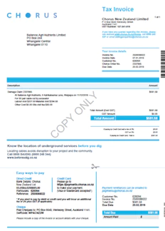 A sample Chorus invoice with 'copy only' written diagonally across the centre of the document.